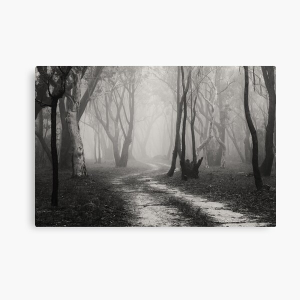 Twin Falls Trees in the Mist Canvas Print