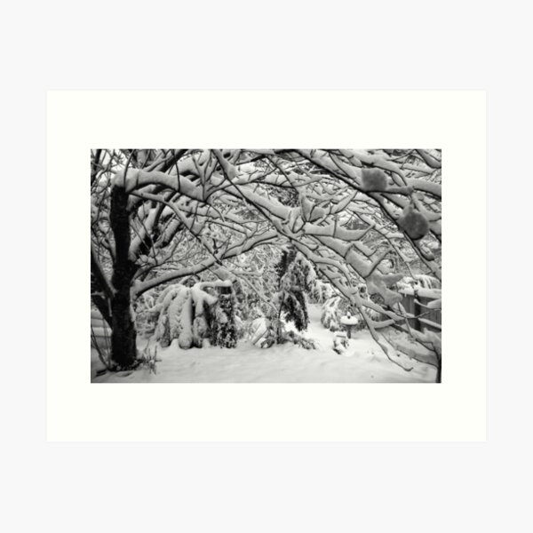 Item preview, Blackheath Snow 4 designed and sold by Geoff Smith.