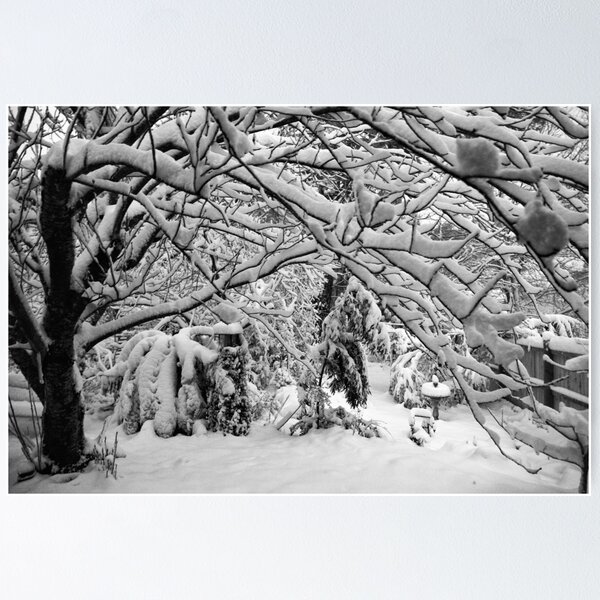 Item preview, Blackheath Snow 4 designed and sold by Geoff Smith.