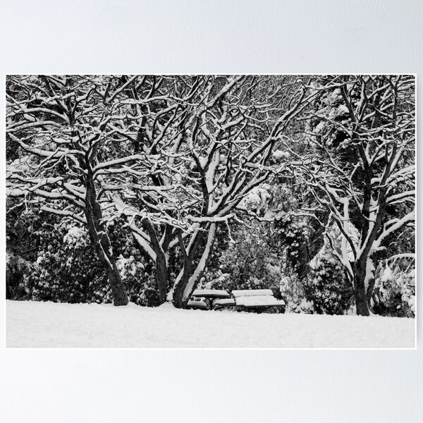 Item preview, Blackheath Snow 3 designed and sold by Geoff Smith.