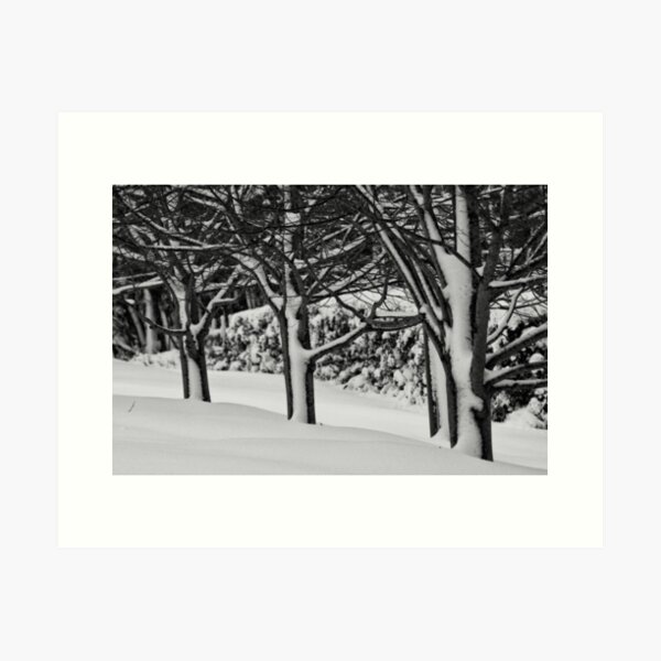 Item preview, Blackheath Snow 2 designed and sold by Geoff Smith.
