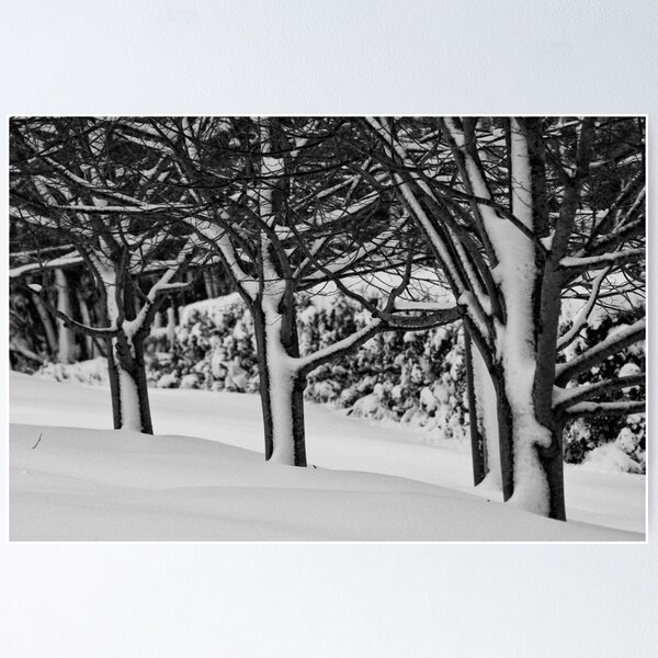 Item preview, Blackheath Snow 2 designed and sold by Geoff Smith.