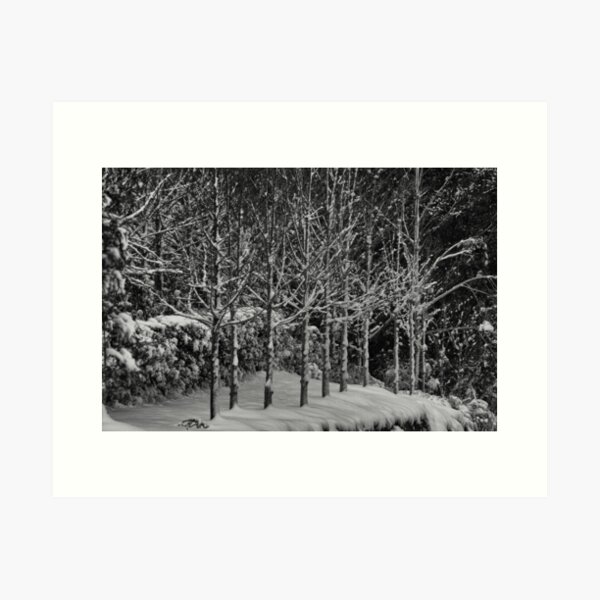 Item preview, Blackheath Snow 1 designed and sold by Geoff Smith.