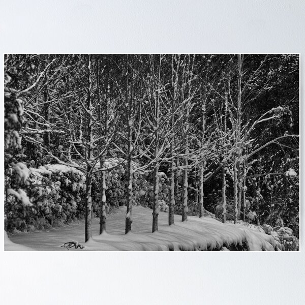 Item preview, Blackheath Snow 1 designed and sold by Geoff Smith.