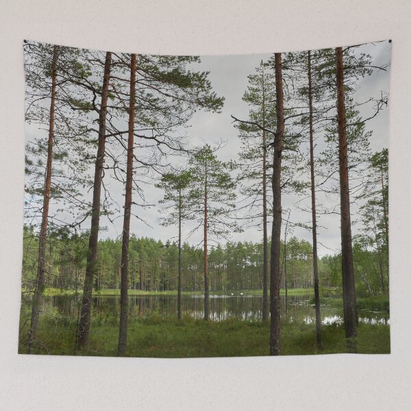 Item preview, The swans out there. Koverolampi designed and sold by Jouko Lehto Photography.