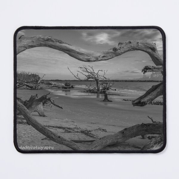 Item preview, Jekyll Island Tree Frame designed and sold by johnlackphotos.