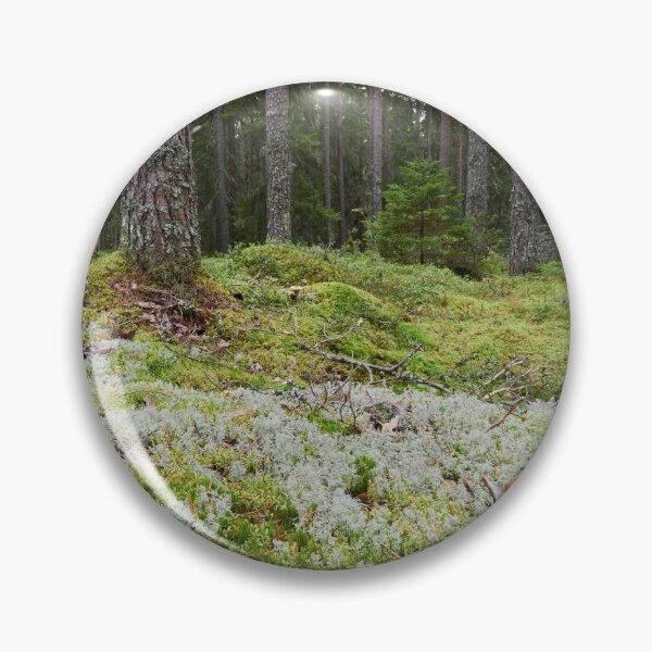 Item preview, Lichen ground designed and sold by Jouko Lehto Photography.