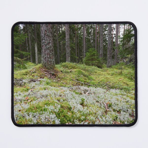 Item preview, Lichen ground designed and sold by Jouko Lehto Photography.