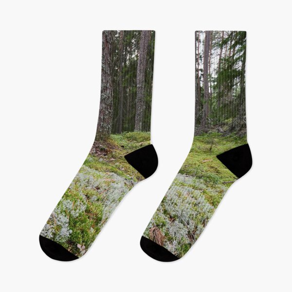 Item preview, Lichen ground designed and sold by Jouko Lehto Photography.