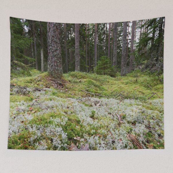 Item preview, Lichen ground designed and sold by Jouko Lehto Photography.
