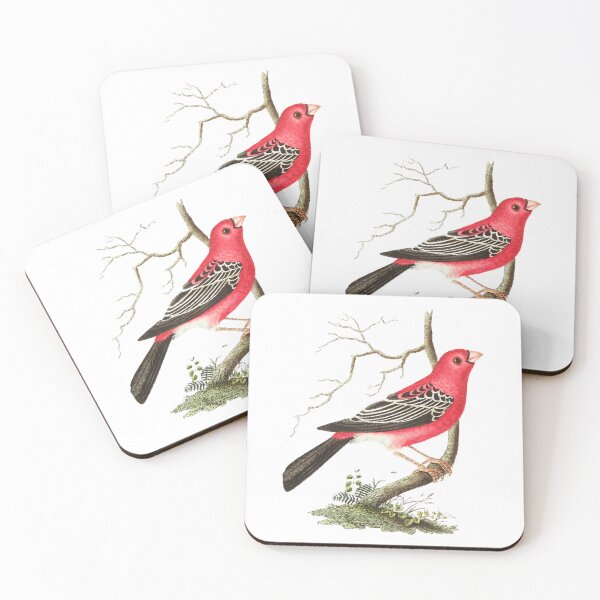 Item preview, Cute Cardinal Gift For Forest Camp Trip designed and sold by byrne-ma.