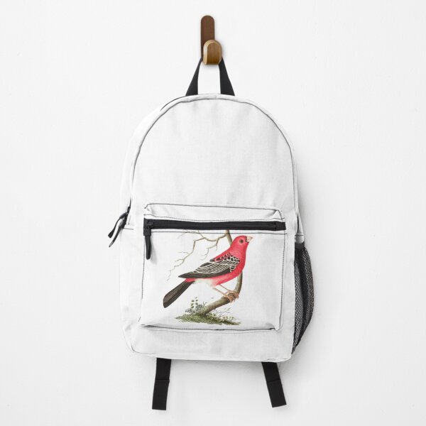 Item preview, Cute Cardinal Gift For Forest Camp Trip designed and sold by byrne-ma.