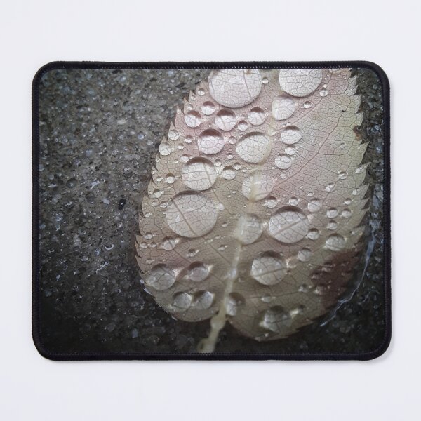 Item preview, Raindrops on a Leaf designed and sold by IvaRenee.