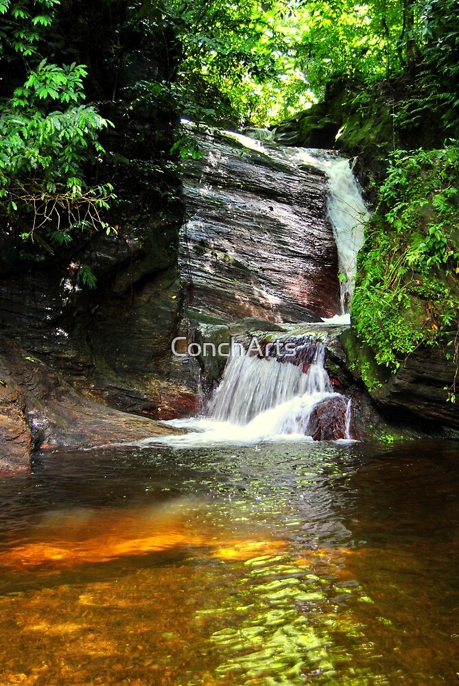 "Maracas waterfall" by ConchArts Redbubble