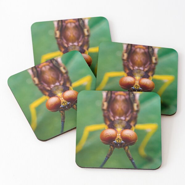 Item preview, Giant Mayfly - Hexagenia Limbata designed and sold by AronsTinySafari.
