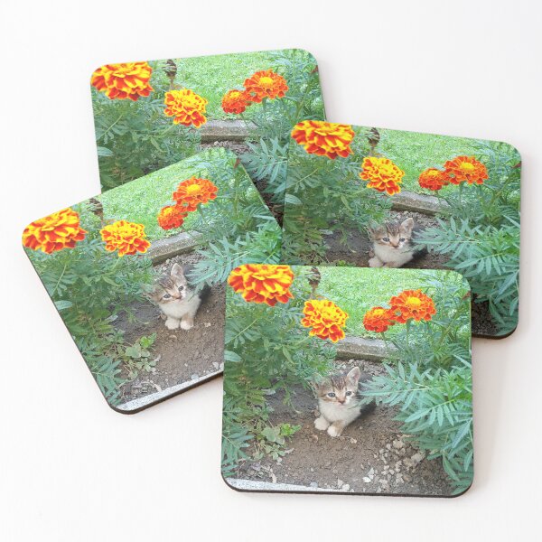 Item preview, Lovely kitten designed and sold by Dreammkd.