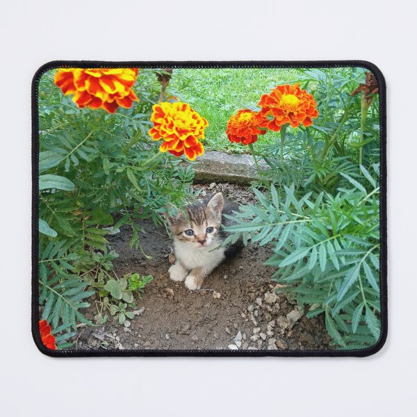 Item preview, Lovely kitten designed and sold by Dreammkd.