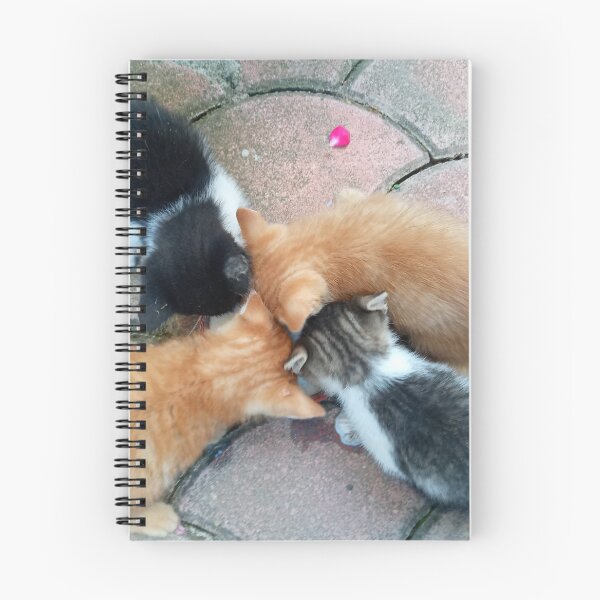 Item preview, Hungry Kittens designed and sold by Dreammkd.