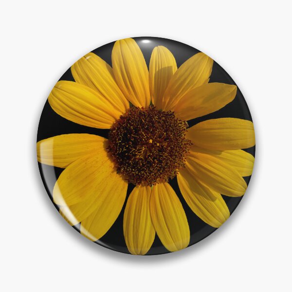 Item preview, Field Guide to Sunflowers, No. 13, Bright Yellow Flower  designed and sold by Kristi Duggins.