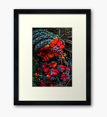 Cycad Seeds Framed Print