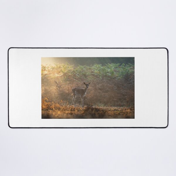 Item preview, First signs of Autumn designed and sold by Steve Liptrot Photography.