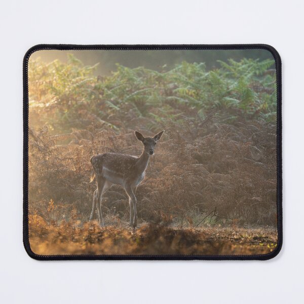 Item preview, First signs of Autumn designed and sold by Steve Liptrot Photography.