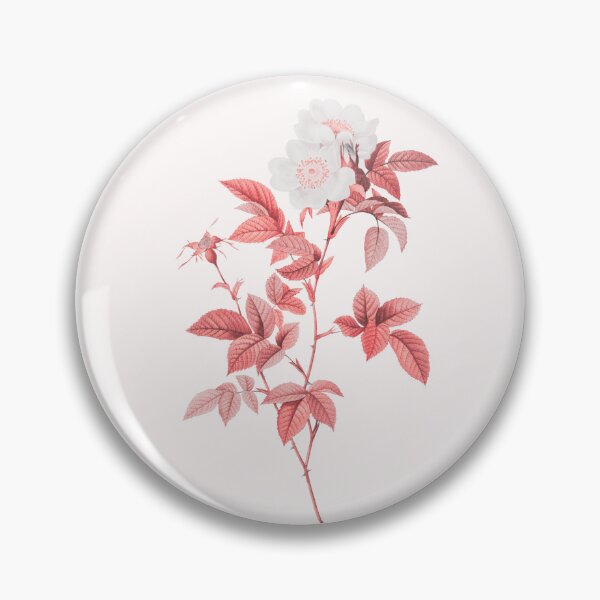 Item preview, Anjou Rose Flower, Alternative Illustration - White and Red Rose designed and sold by DaphneKstudio .
