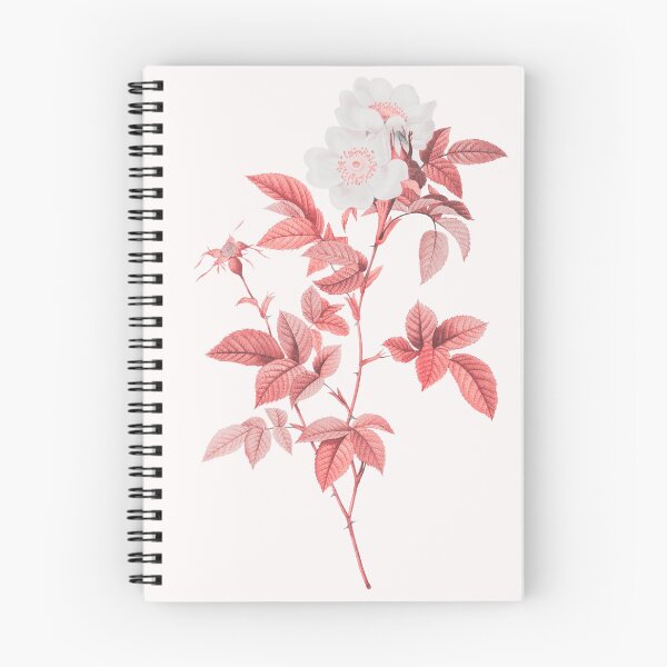 Item preview, Anjou Rose Flower, Alternative Illustration - White and Red Rose designed and sold by DaphneKstudio .