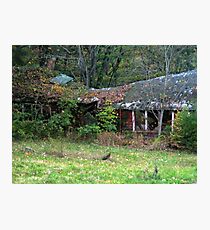 Old Haunted Abandonned Building Behind the Ringwood Manor Photographic Print