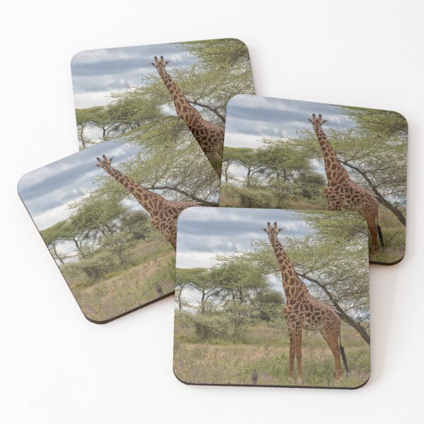 Item preview, Masai Giraffe (Giraffa camelopardalis tippelskirchi) designed and sold by Yair Karelic.