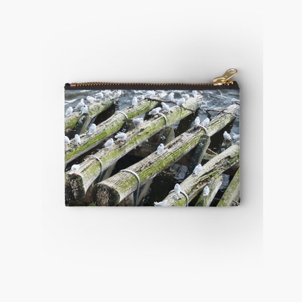Item preview, Breakwater Birds designed and sold by davidandmandy.