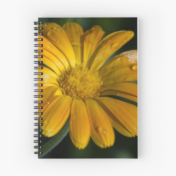 Item preview, Raindrops on a yellow flower designed and sold by thompsong03.