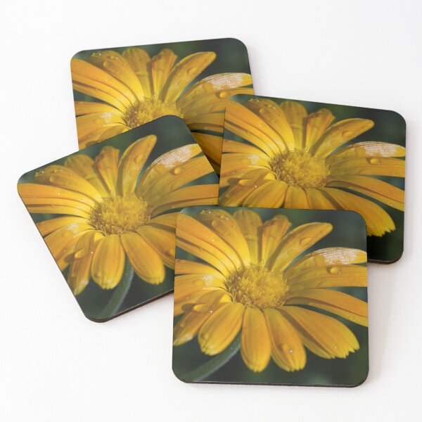 Item preview, Raindrops on a yellow flower designed and sold by thompsong03.