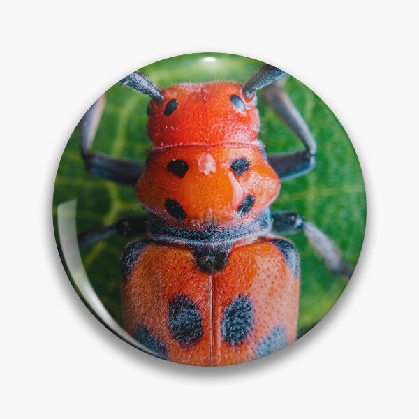 Item preview, Red Milkweed Longhorn Beetle - Tetraopes Tetrophthalmus designed and sold by AronsTinySafari.