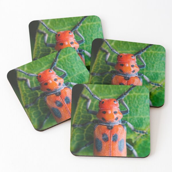 Item preview, Red Milkweed Longhorn Beetle - Tetraopes Tetrophthalmus designed and sold by AronsTinySafari.
