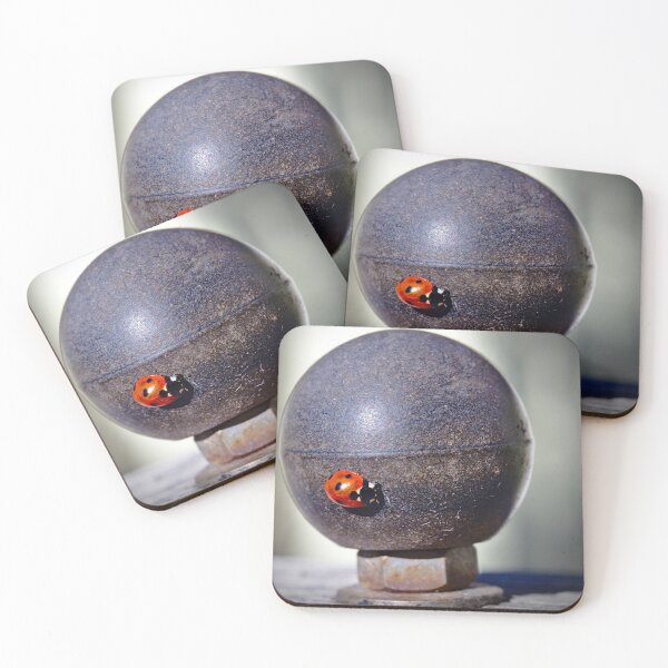 Item preview, Beetle on a metal ball designed and sold by thompsong03.