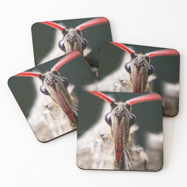 Item preview, Wheel Bug - Assassin Bug - Arilus designed and sold by AronsTinySafari.