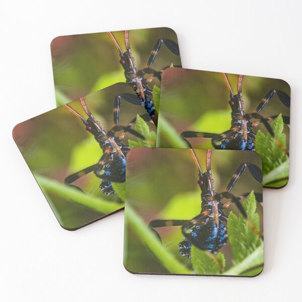 Item preview, Blue Leaf Footed Bug Nymph - Acanthocephala Terminalis designed and sold by AronsTinySafari.