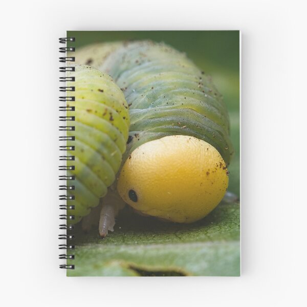 Item preview, Tawny Prominent Caterpillar designed and sold by AronsTinySafari.