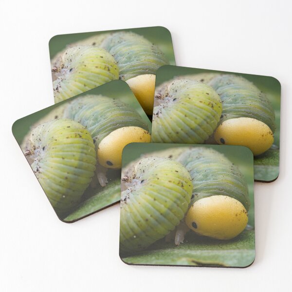 Item preview, Tawny Prominent Caterpillar designed and sold by AronsTinySafari.