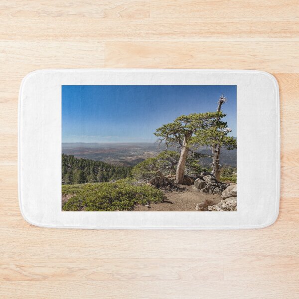 Item preview, Tree With a View designed and sold by Tootalled Photography .