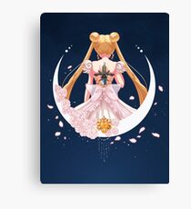 Sword of the Silver Crystal Canvas Print
