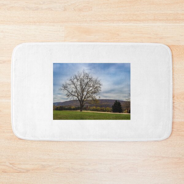 Item preview, Lone Tree designed and sold by Tootalled Photography .