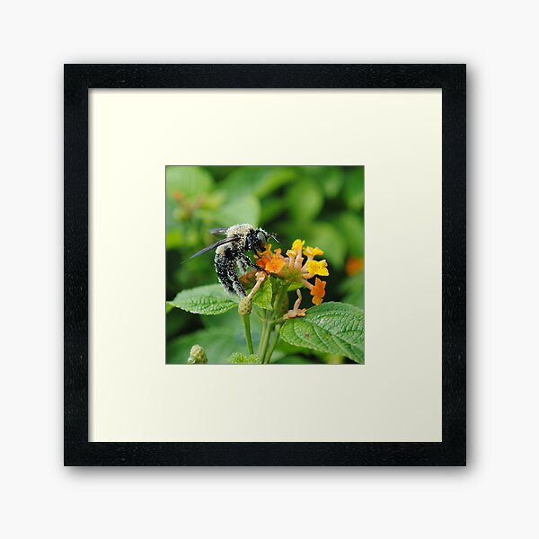 Item preview, Pollenated designed and sold by aquaalgiaart.