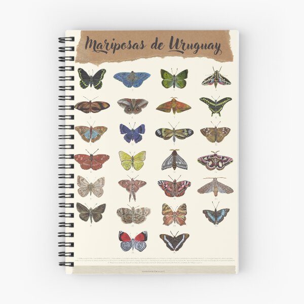Item preview, Butterflies of Uruguay designed and sold by ninalatorre.