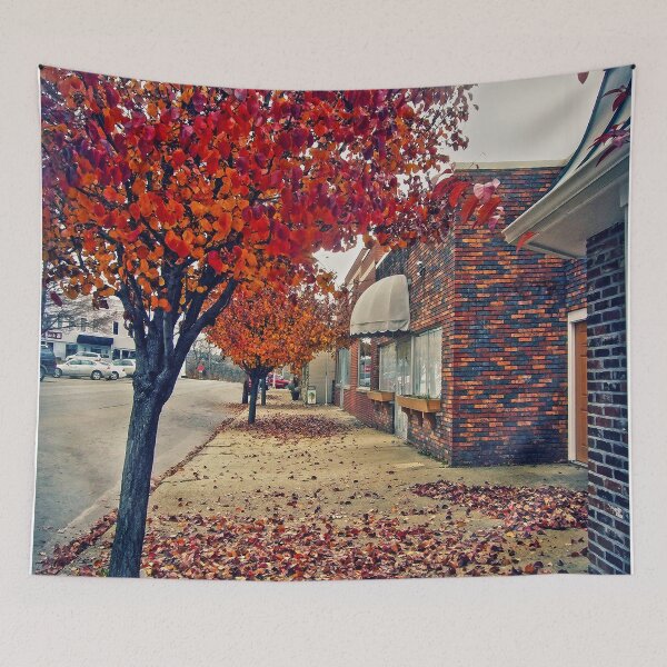 Item preview, Autumn Sidewalk designed and sold by Frankie Cat Photography.