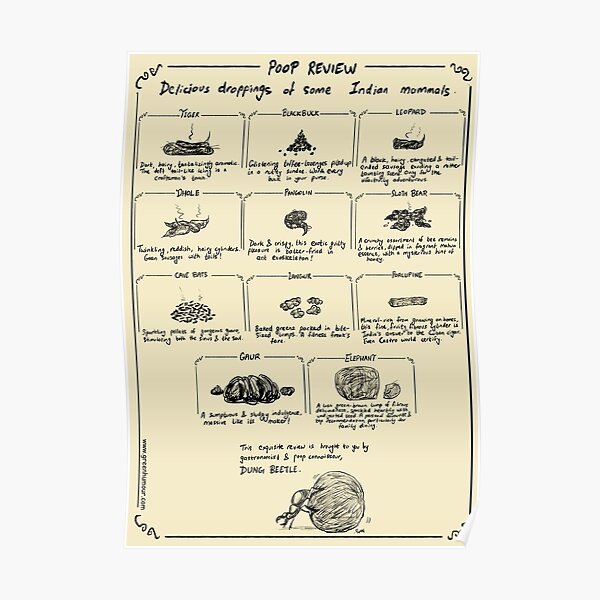 Poop Review Poster