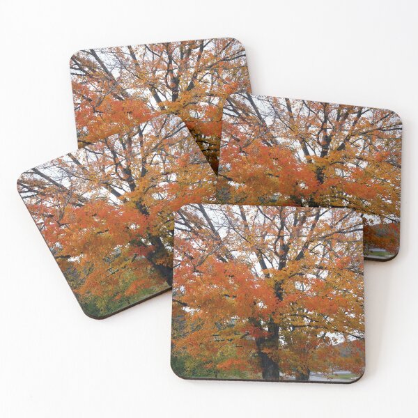 Item preview, Autumn Tree designed and sold by Frankie Cat Photography.