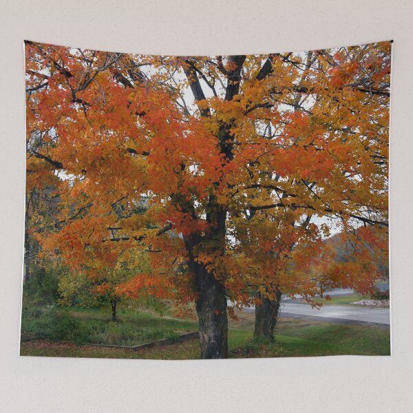 Item preview, Autumn Tree designed and sold by Frankie Cat Photography.