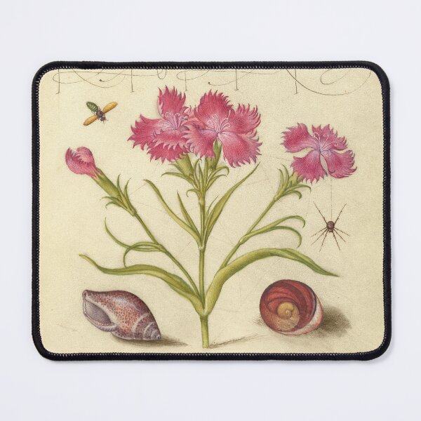 Item preview, Marine Mollusk, and Eye of Santa Lucia - Botanical Illustration from a Medieval Manuscript designed and sold by IlluminatedPage.